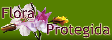 Flora Protegida