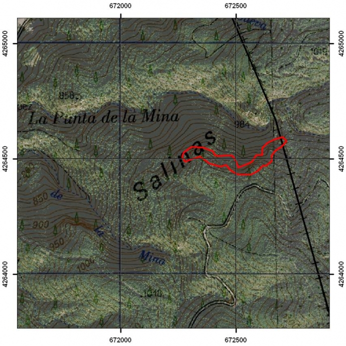 Roquedos de la Sierra de Salinas