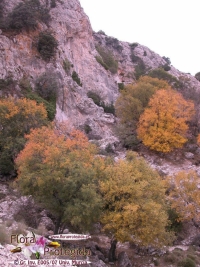 Umbría-Morrón de Alhama y Valle del Leiva